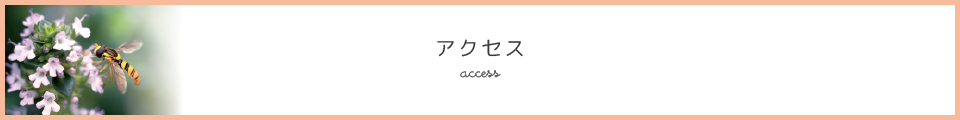 アクセス